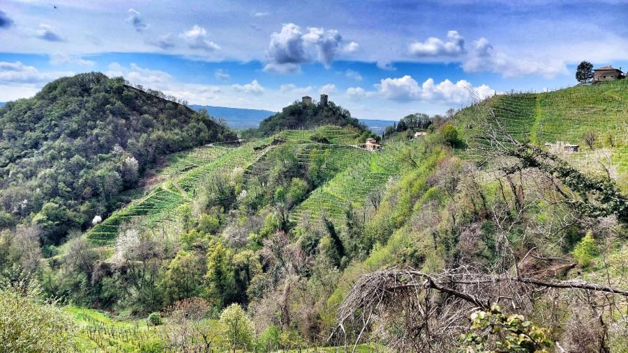Agriturismo Al Credazzo Farra di Soligo Eksteriør billede