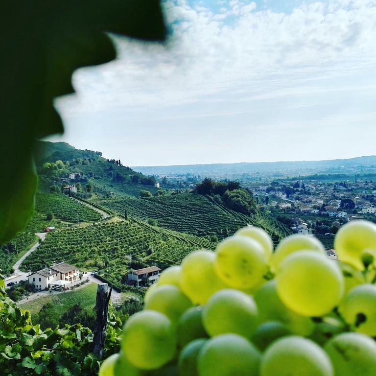 Agriturismo Al Credazzo Farra di Soligo Eksteriør billede