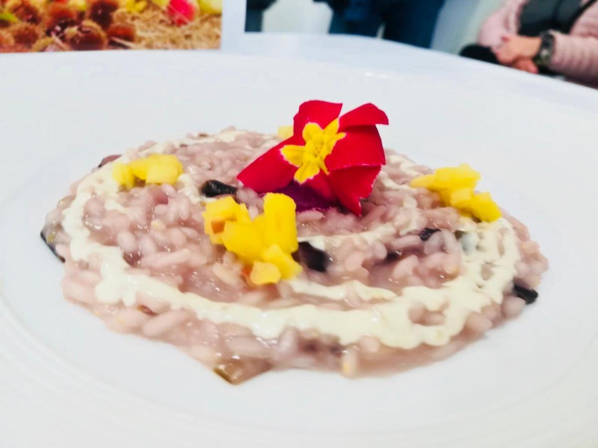 Agriturismo Al Credazzo Farra di Soligo Eksteriør billede